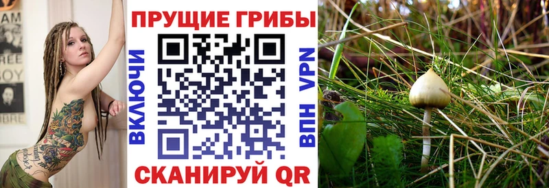 Галлюциногенные грибы мицелий  что такое   Ухта 